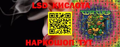 стафф Заволжье