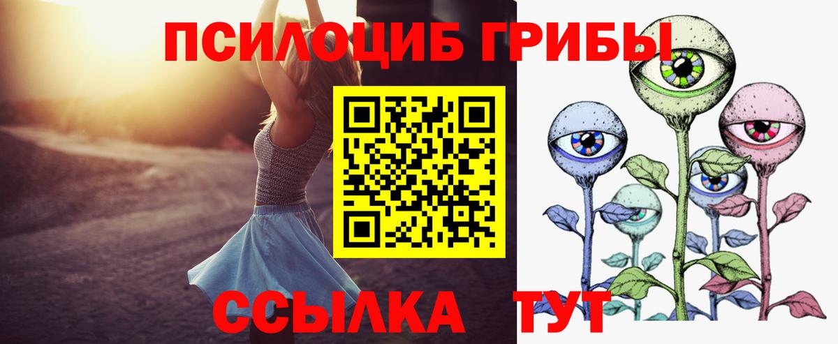 Псилоцибиновые грибы GOLDEN TEACHER Керчь