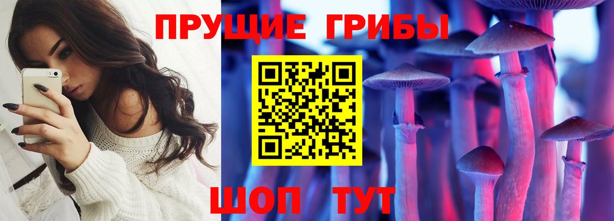 что такое   Галлюциногенные грибы GOLDEN TEACHER  Вход с VPN  Керчь 